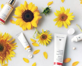 Groot aanbod Dr. Hauschka producten