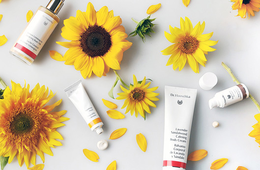 Groot aanbod Dr. Hauschka producten